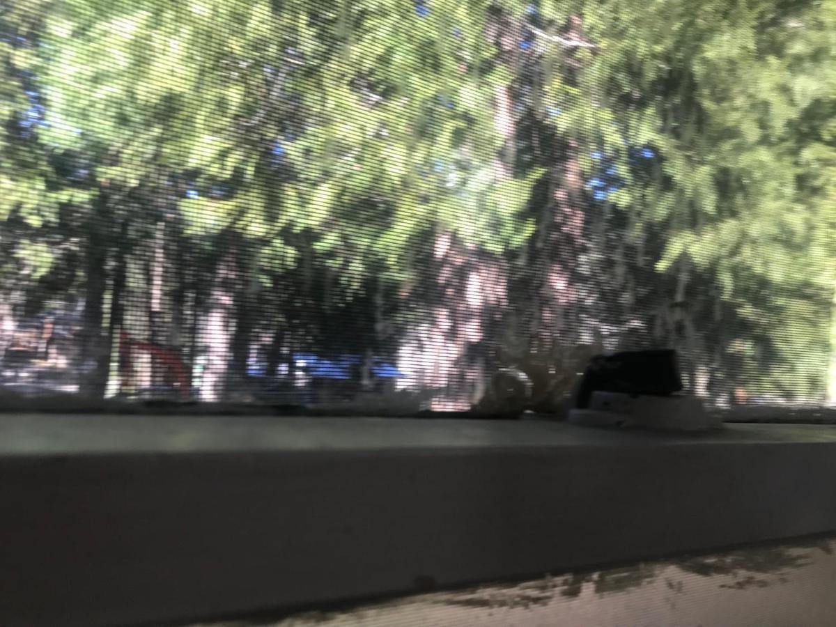 Dunsmuir Lodge Luaran gambar