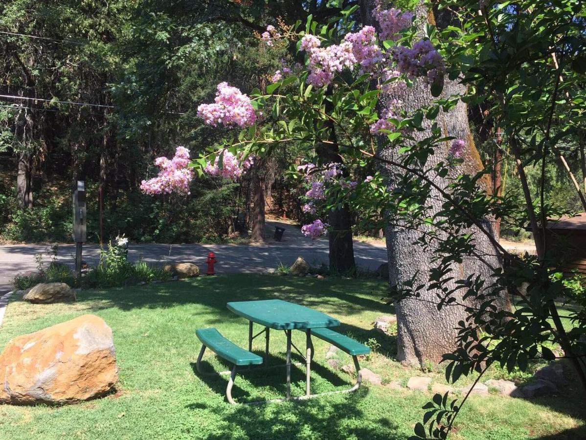 Dunsmuir Lodge Luaran gambar